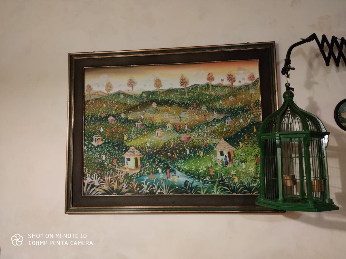 Apartment Zingari
